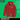 Ayr Grammar School Result School Fleece